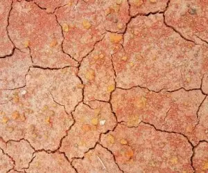 خوردن خاک