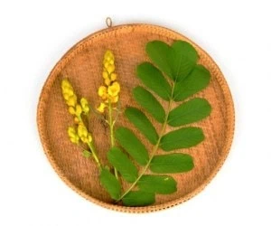 برگ سنا لاغری