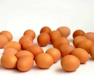 خواص تخم مرغ