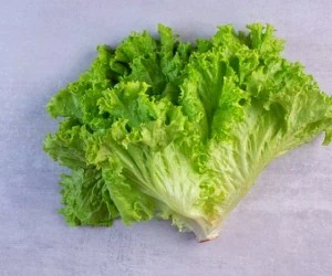 ماسک کاهو