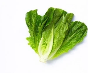 کاهو در بارداری