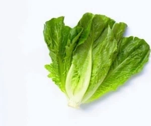 خواص کاهو