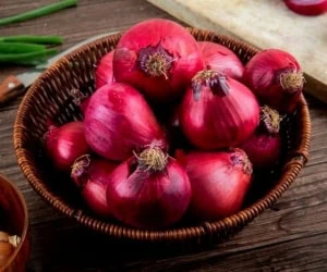 کاربرد انواع پیاز