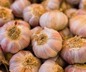 خوردن سير خام