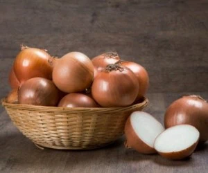 نگهداری پیاز