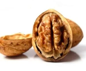 گردو