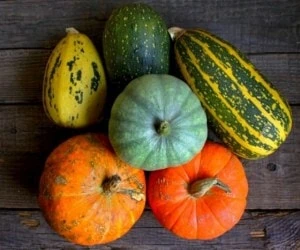 کدو برای کاهش وزن