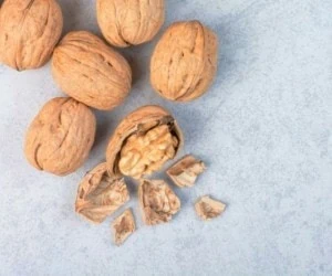 فواید و خواص گردو