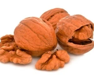 گردو