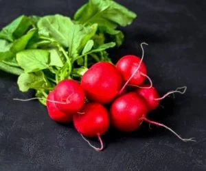 تمام فواید و خواص تربچه سبزی خوردن + عوارض و طبع
