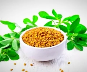 شنبلیله برای مو