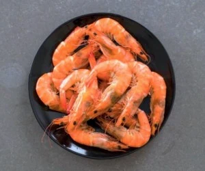 روش نگهداری میگو