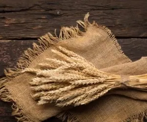 غلات سبوس دار 