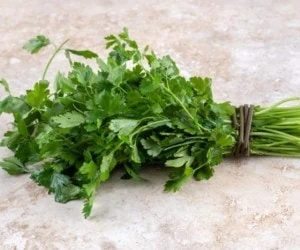 تخلیه سموم بدن