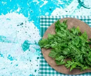 کاشت جعفری