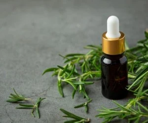 روغن درخت چای برای ریزش مو