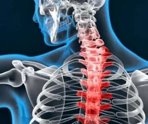 سلامت استخوان