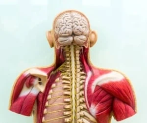 آلزایمر