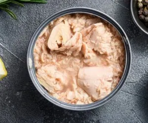 بارداری و تن ماهی