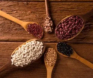 مغز انسان