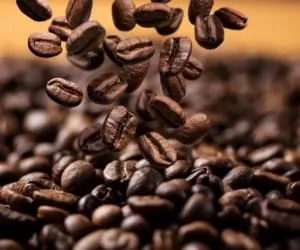 نگهداری از قهوه