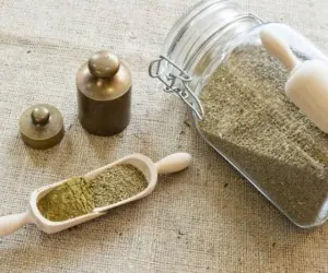 خواص تخم کرفس