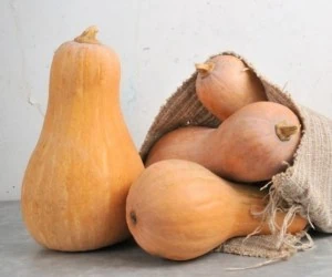 ماسک کدو حلوایی