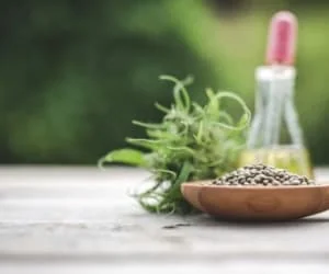 روغن شاهدانه