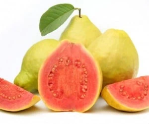 خواص گواوا