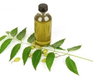 روغن چریش