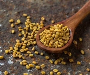 خواص تخم شنبلیله
