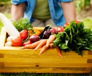 تاثیر تغذیه سالم