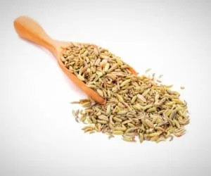 رازیانه در بارداری