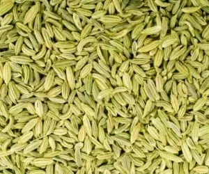 خواص عرق رازیانه