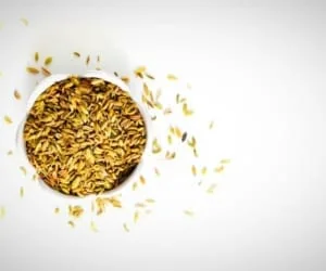 رازیانه عوارض