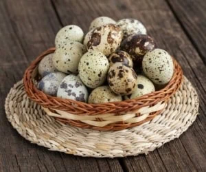 فواید تخم بلدرچین