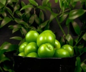 گوجه سبز