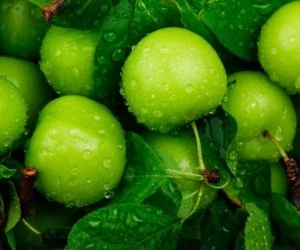  با گوجه سبز، غذا چی بپزم که خوشمزه و راحت باشه؟ 