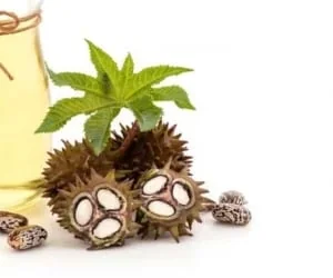 روغن کرچک