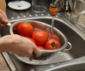 میوه