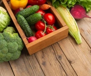از بین بردن پشه های میوه