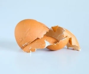 پوست تخم مرغ در خاک