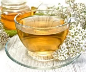 چای بومادران