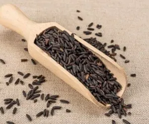 برنج بنفش