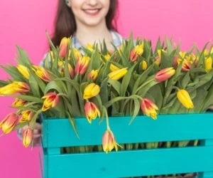 جا به جایی گیاه