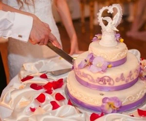 تغذیه عروس
