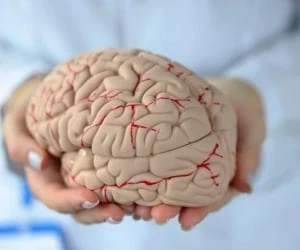 ارتباط پا با مغز