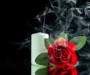 مرگ افراد معروف