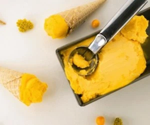 طرز تهیه بستنی رژیمی