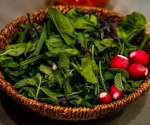 انواع سبزیجات